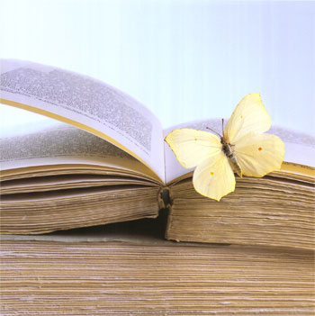 zygos butterfly on book